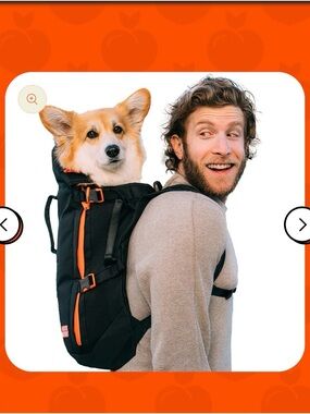 Maxine One Small Dog Carrier